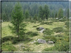 foto Laghi di San Giuliano e Garzone